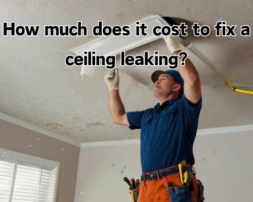 How Much Does It Cost to Fix a Ceiling Leaking in West Palm Beach, Florida?