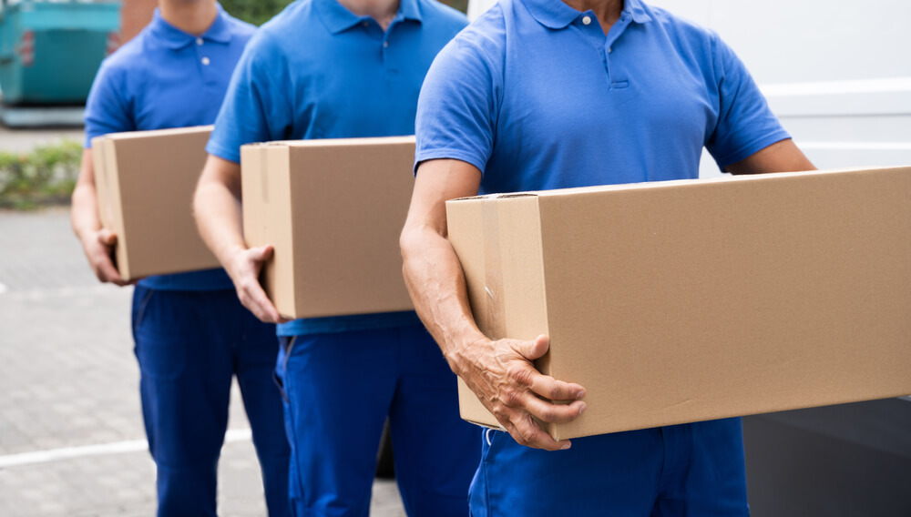 Local Movers Celina