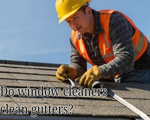 Professional using gloves and ladder to clean house gutter.