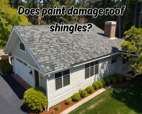 Does Paint Damage Roof Shingles? The West Palm Beach Edition