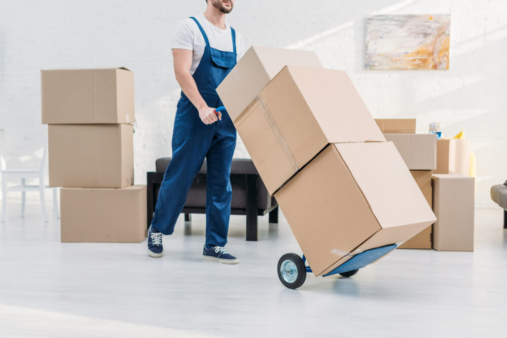 Local Moving Experts Windermere