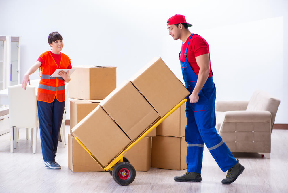 Office Packing Services