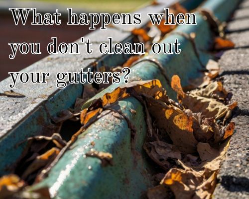 What Happens When You Don’t Clean Out Your Gutters?