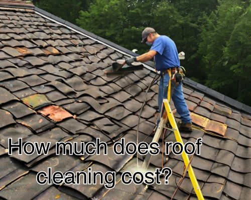 How Much Does Roof Cleaning Cost? A Detailed Look for Homeowners in Melbourne, Australia