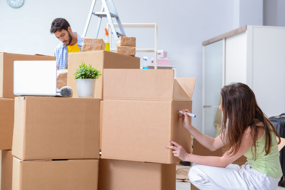 Professional Moving Services